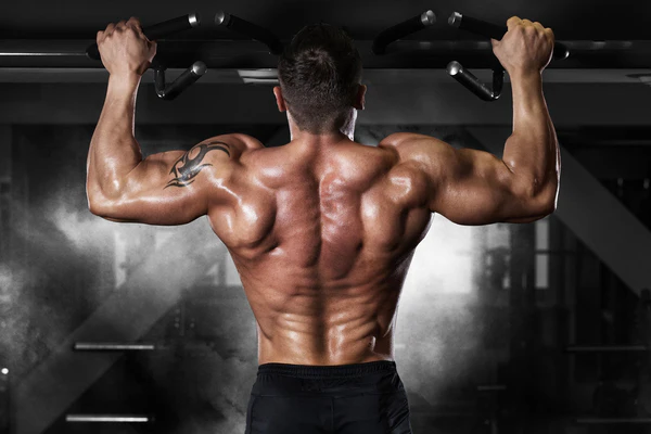 Build a Body That Lasts: 9 Healthy Habits for Lifelong Fitness