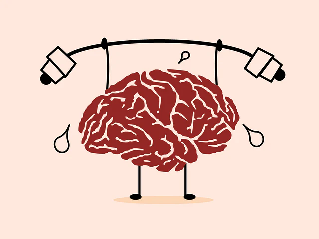 Brain First: What to Eat in a Day to Protect Memory and Prevent Dementia